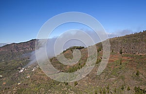 Gran Canaria, February photo