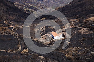 Gran Canaria after forest fire