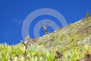 Gran Canaria, January