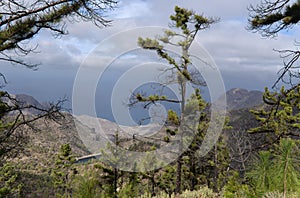 Gran Canaria, landscape of the central montainous part of the island, Las Cumbres, ie The Summits, hiking route to Altavista photo