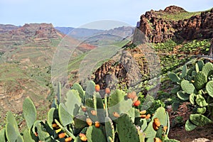 Gran Canaria photo