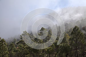 Gran Canaria, landscape of the mountainous part of the island in the Nature Park Tamadab