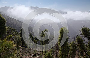 Gran Canaria, landscape of the mountainous part of the island in the Nature Park Tamadab