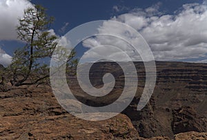 Gran Canaria, landscape of the southern part of the island along Barranco de ArguineguÃÂ­n steep and deep ravine photo