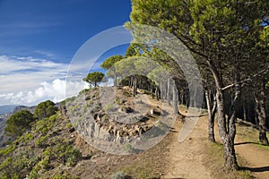 Gran Canaria, Las Cumbres - the highest areas of the island photo