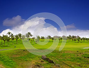 Gran Canaria Meloneras golf green grass