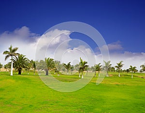 Gran Canaria Meloneras golf green grass photo