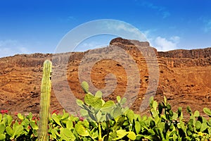 Gran Canaria Mogan cactus and red mountain photo