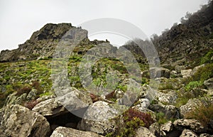 Gran Canaria, Nature park Tamadaba photo