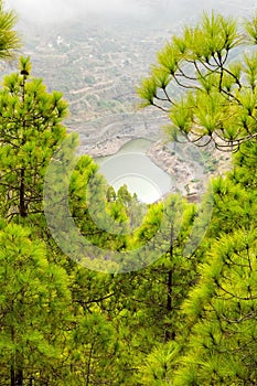 Gran Canaria, Nature Park Tamadaba photo