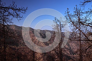 Gran Canaria, part of Nature Park Tamadaba