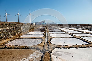 Gran Canaria, Salinas de Tenefe salt evaporation ponds, southeastern part of the island, pink color created by Dunaliella salina