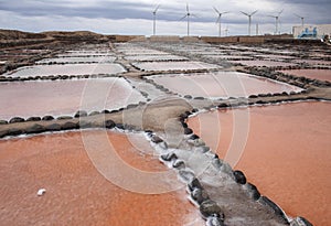 Gran Canaria, Salinas de Tenefe photo