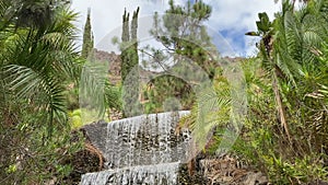 GRAN CANARIA, SPAIN - OCTOBER 23, 2019: waterfall on rock near palm trees