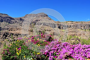 Gran Canaria, Spain photo