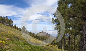 Gran Canaria, Veiw from Central Mountains photo