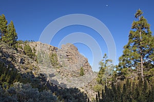 Gran Canaria, view from Pico de Las Nieves