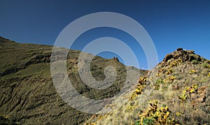 Gran Canaria, volcanic landscape of mountain valley Barranco Oscuro photo