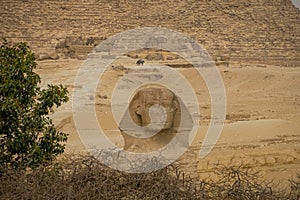 Gran Esfinge de Guiza. El Cairo. Egipto photo