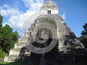 Gran Jaguar, Tikal, Peten, Guatemala, Central America 3