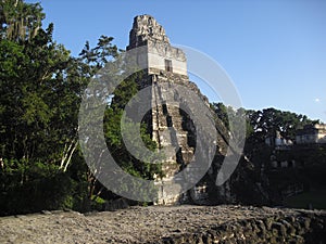 Gran Jaguar, Tikal, Peten, Guatemala, Central America 4