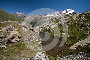 Gran Paradiso