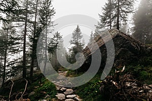 Gran Paradiso Mountain climbing