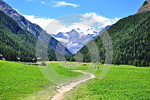 Gran Paradiso national park