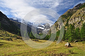 Gran Paradiso national park. Aosta Valley, Italy photo
