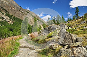 Gran Paradiso national park. Aosta Valley, Italy