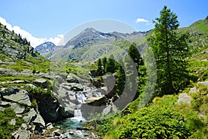 Gran Paradiso National Park. Valle di Bardoney, Aosta Valley, Italy.