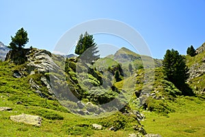 Gran Paradiso National Park. Valle di Bardoney, Aosta Valley, Italy.