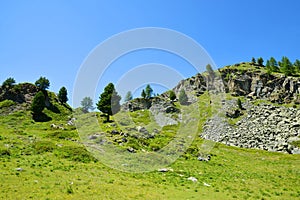 Gran Paradiso National Park. Valle di Bardoney, Aosta Valley, Italy.