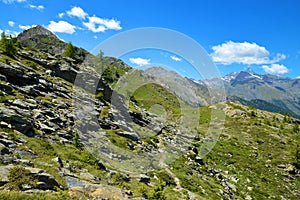 Gran Paradiso National Park. Valle di Bardoney, Aosta Valley, Italy.