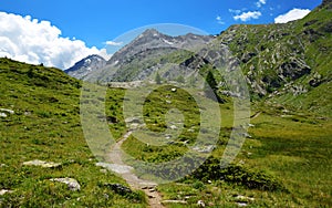 Gran Paradiso National Park. Valle di Bardoney, Aosta Valley, Italy.