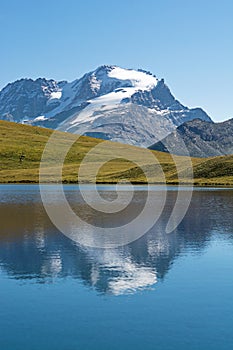 Gran Paradiso Peak, 4061mt, italian Alps. Italy