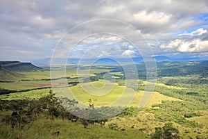 Gran Sabana seen from tepui slopes, Venezuela photo