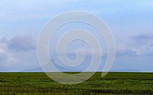 The Gran Savanna - Venezuela: in the immensity of the savanna the silhouette, in the background, of na isolated Tepuy