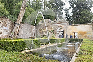 Generalife gardens cipres yard on sunny day photo