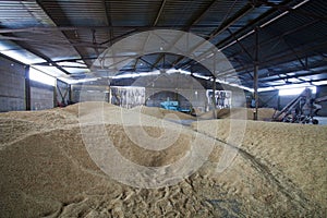 Granary photo