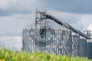 Granary elevator, silver silos on agro manufacturing plant for processing drying cleaning and storage of agricultural