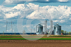 Granary storage tanks surrounded by cultivated fields. Grain silo agricultural buildings on farmland
