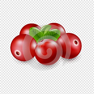 Granberry Isolated In Transparent Background photo