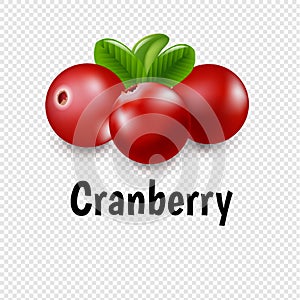 Granberry Set With Transparent Background photo