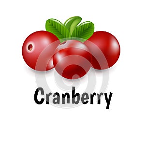 Granberry With Transparent Background photo