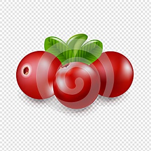 Granberry With Transparent Background photo