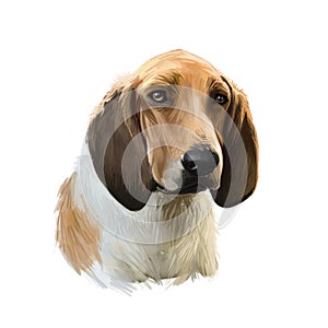 Grand Anglo-Francais, Great Anglo-French dog digital art illustration isolated on white background. France origin scenthound