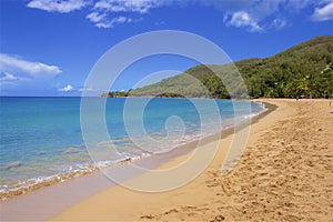 Grand Anse beach in Guadeloupe, Caribbean