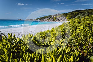 Grand Anse beach at La Digue island in Seychelles. White sandy beach with blue ocean lagoon. Green defocused foliage