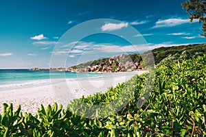 Grand Anse beach at La Digue island in Seychelles. White sandy beach with blue ocean lagoon. Green defocused foliage